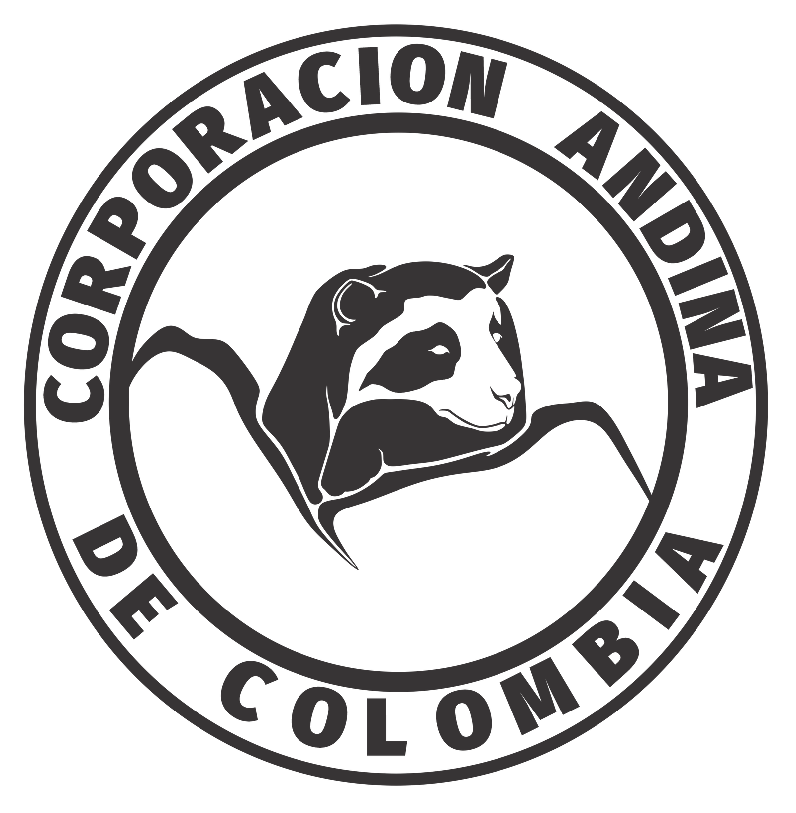 logo Corporación Andina de Colombia png